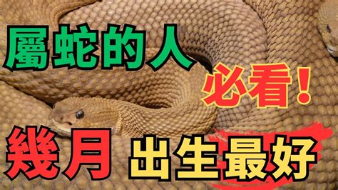 屬蛇幾月生好|屬蛇最旺月份大公開